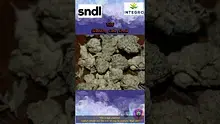 Smokey Mo Video Thumbnail