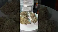 Medi Blaze Video Thumbnail