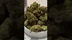 SunDaze Candy Store