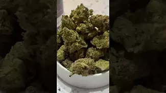 SunDaze Candy Store