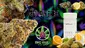 Video Thumbnail: Big Bud Reviews