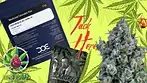 Jack Herer by Dank Of England D.O.E T28 : Medical Cannabis Review - Repeat Prescription 