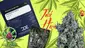 Video Thumbnail: Big Bud Reviews
