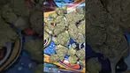 LUMIR KSC KUSH COOKIES ( UK PRESCRIPTION MEDICATION)
