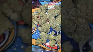 LUMIR KSC KUSH COOKIES ( UK PRESCRIPTION MEDICATION)