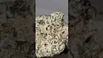 Dante's Fire by Headstone