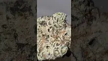 2cavjav Video Thumbnail