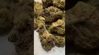White Runtz Uk Medical