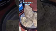 420Medical Video Thumbnail