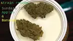MED REV - sundaze apples and bananas T23 review - Cheap as chips