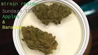 MED REV - sundaze apples and bananas T23 review - Cheap as chips