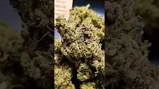 4C LABS BLUE SUNSET ( UK PRESCRIPTION MEDICATION )