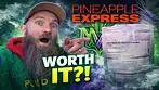 Pineapple Express T25 Review  | Worth It on UK Medical?!
