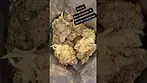 #cannabisdaily #ukmedical #medicalcannabis black kettle farms gushers
