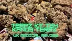 Terpz KT T24 - Kandy Terpz - UK Medical Review