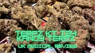 Terpz KT T24 - Kandy Terpz - UK Medical Review