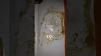 ATLANTIC GLUE | Therismos Craft & Aqualitas | Press Test