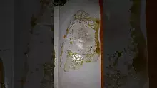 Smacksalad Video Thumbnail