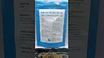 Cookies | Hollywood | UK Medical Flower Review