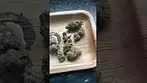 Legal medicine, permanent fruz-green karat 20%thc 1%cbd #mensmentalhealth #medicated #GreenKarat #uk