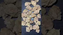 CheeseMon4 Video Thumbnail