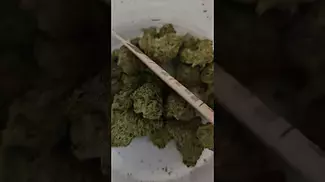 atomic sour grapefruit