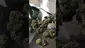 Video Thumbnail: Smoking Through the Jungle Ready for the Rumble