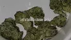 GMO Zkittlez by Cura Leaf - Strain Reviews 05