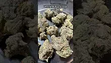 Pain Patient Video Thumbnail