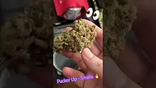Smokey Mo Video Thumbnail