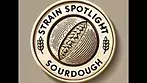 Strain Spotlight: Aurora Sourdough (29% THC) – Effects, Terpenes & Flavour Profile!