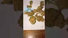 Giggzy Medical Buds Video Thumbnail
