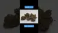Video Thumbnail: HighStandards420