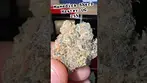 Mamedica Sherb Master OG