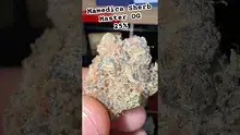 Charlie Chongs Video Thumbnail