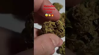 Mamedica - Strawberry Grail (UK Medical Cannabis Prescription)