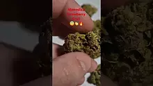 ScottiDunCanna Video Thumbnail