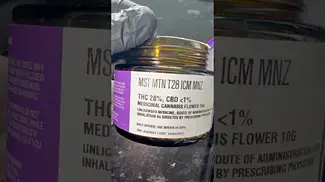Mystery Mountain Ice Cream Mint  | First View Review