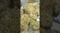 Video Thumbnail: Medical420TV