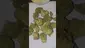 Video Thumbnail: Azztecmedia UK Medical