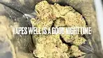 Common Roots WZ T25 Watermelon Zkittlez Medical - Strain Reviews #39