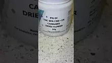 DumbYout Video Thumbnail