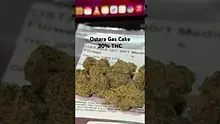 Doc Green Bud Video Thumbnail