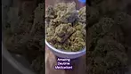 Candystore - Sundaze T24 CS Medical Cannabis UK #alternaleaf #montu