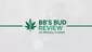 Video Thumbnail: BB's Bud Review