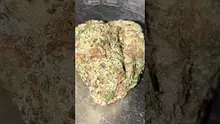 ERB B4S Video Thumbnail