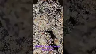 Grape cream cake 24% medical cannabis review 8/10