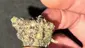 Video Thumbnail: BabyzBudz