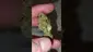 Video Thumbnail: WestPacks420