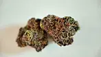 UK medical canna review / Vasco Ciper BB Minis T28 Blueberry Banana